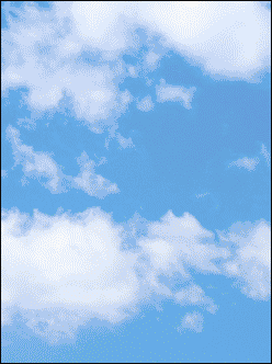 Dialyvite 800 Value Size products ad